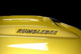 "Rumble Bee" Custom Outline Decals "Rumble Bee" Custom Outline Decals